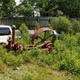 maybe the oldest piece in the yard..